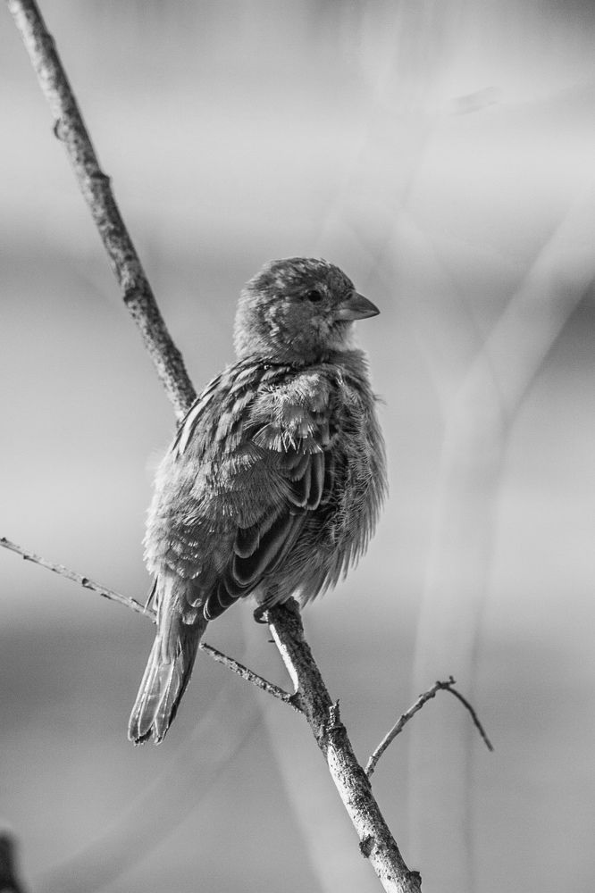 Photograph by Владимир Пилюков