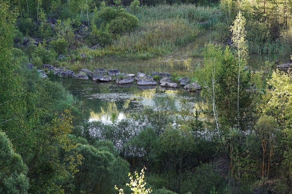 Photograph by Zakharov Matvey