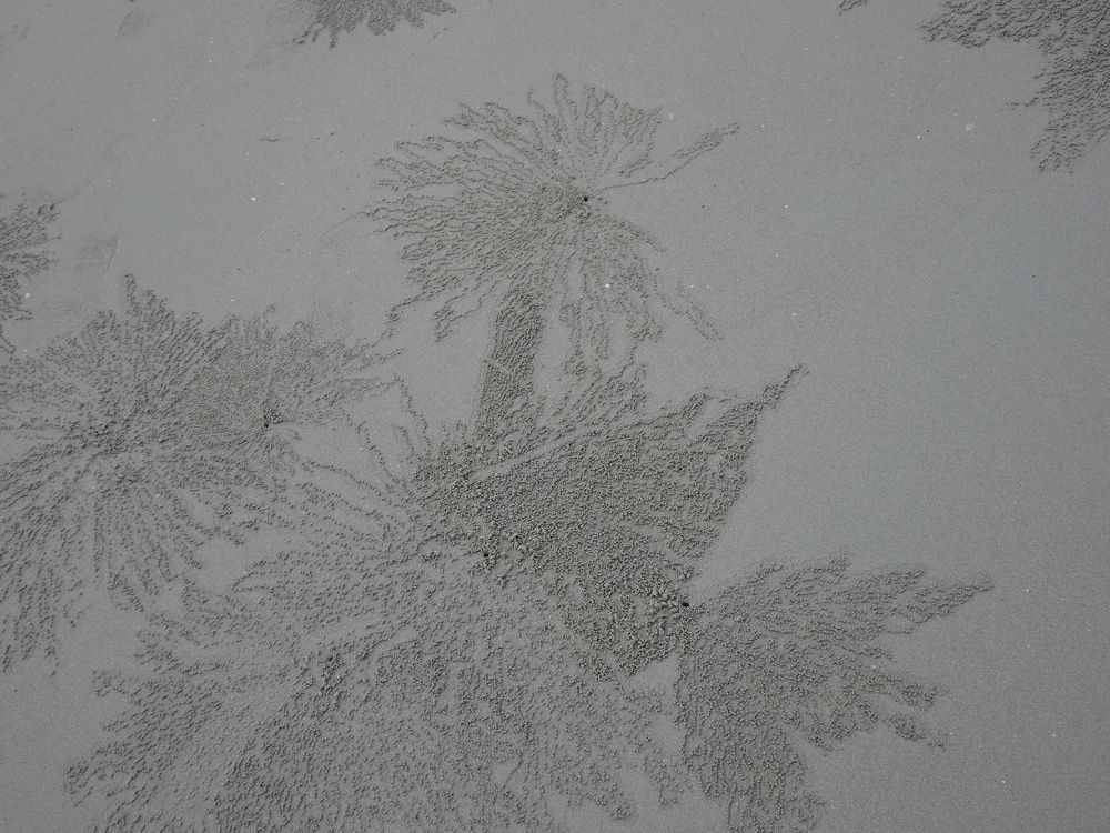 Photograph by Мила Милая