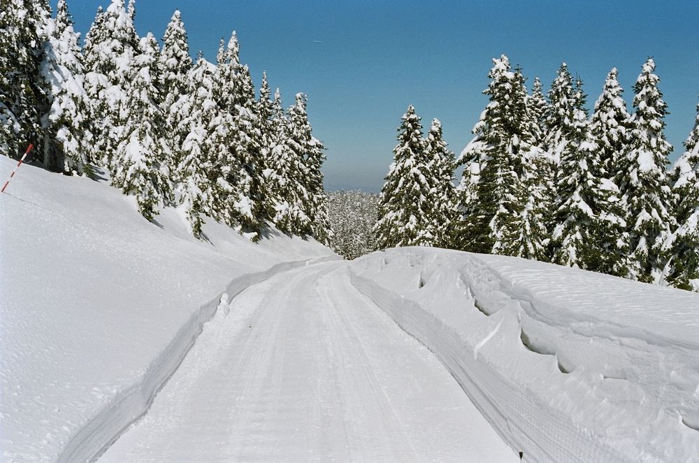 Photograph by Cengiz Yalcin