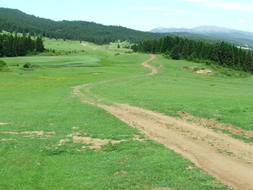 Photograph by Cengiz Yalcin