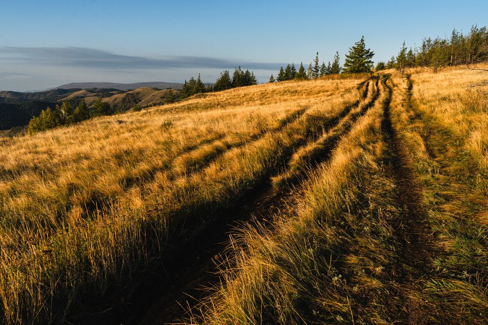 Золотая тропа