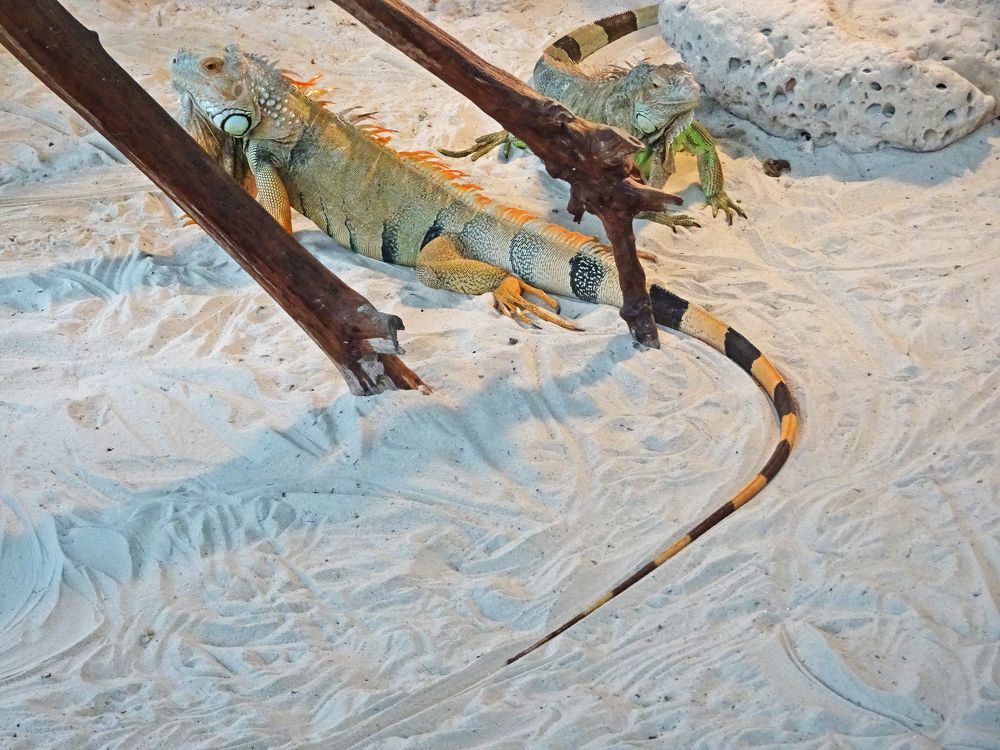 Photograph by Мила Милая