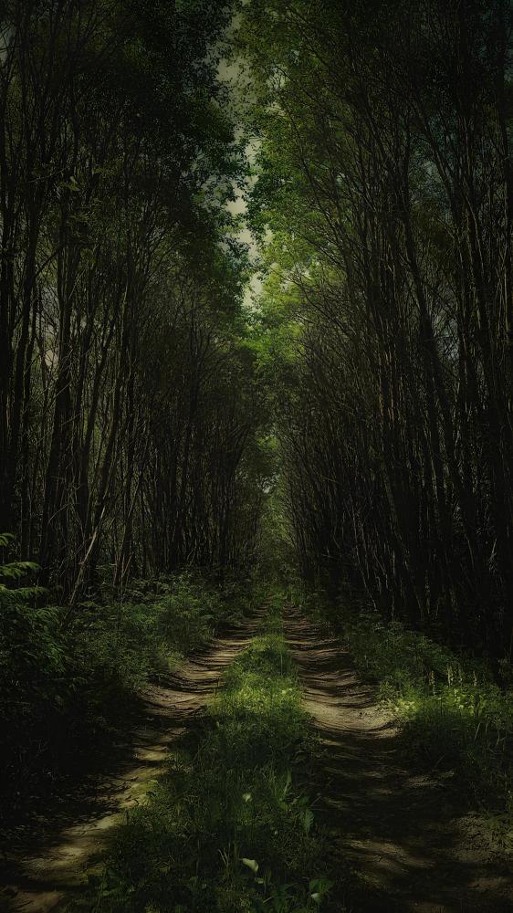 Photograph by Светлана Барабанова