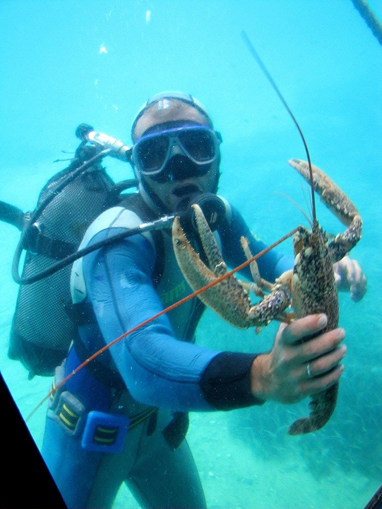 Photograph by Жанна Нечаева