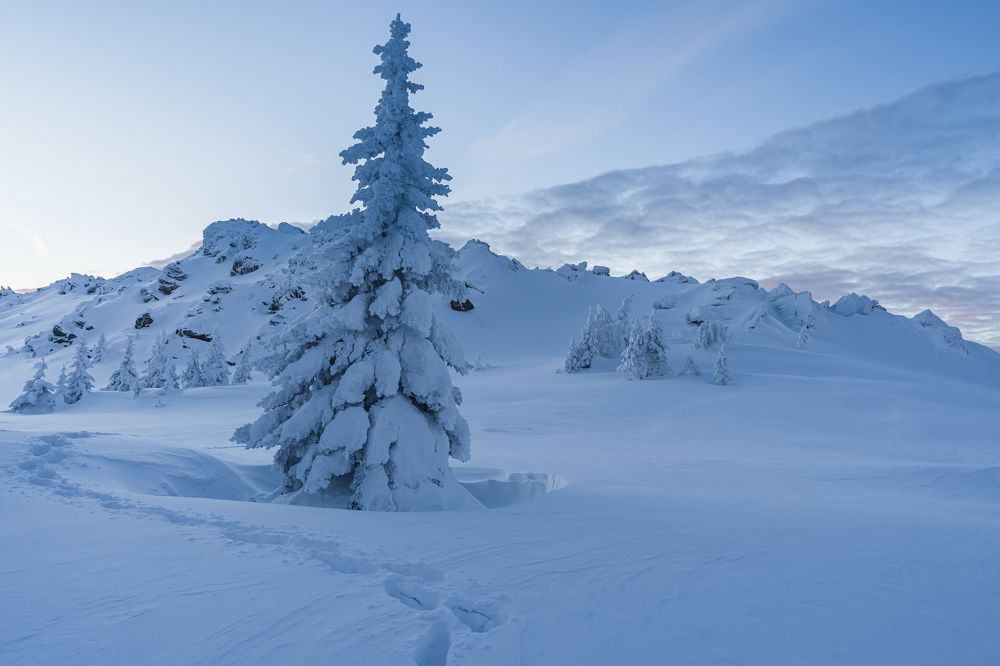 Снежный путь