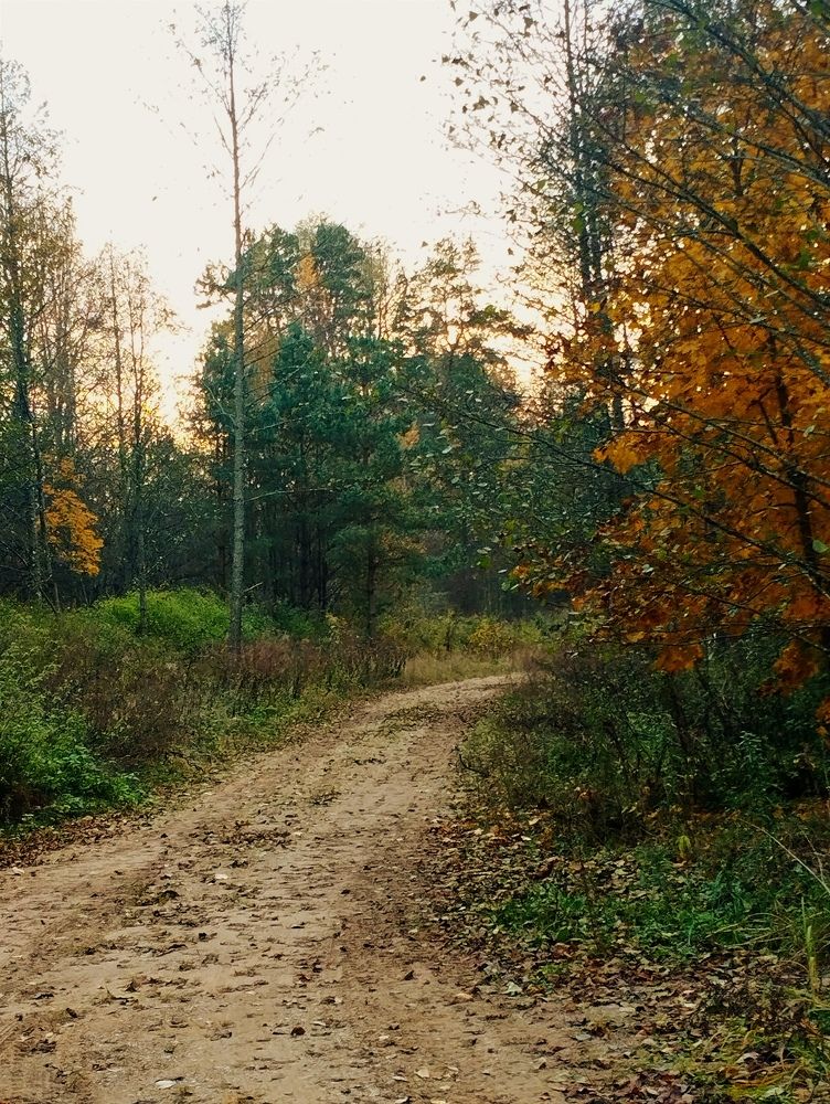 Photograph by Ия Дирко