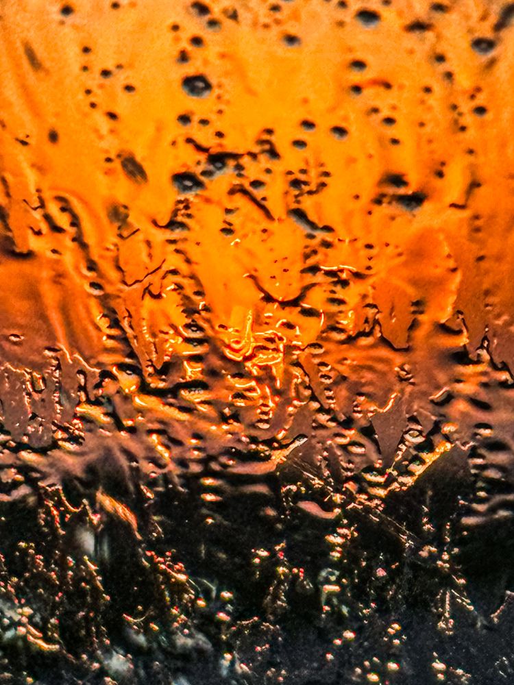 Photograph by Maria Julieta ZURZOLO