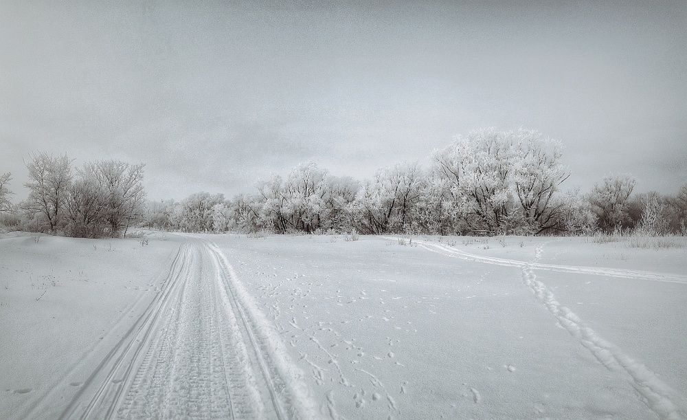 Photograph by Марина Мальцева