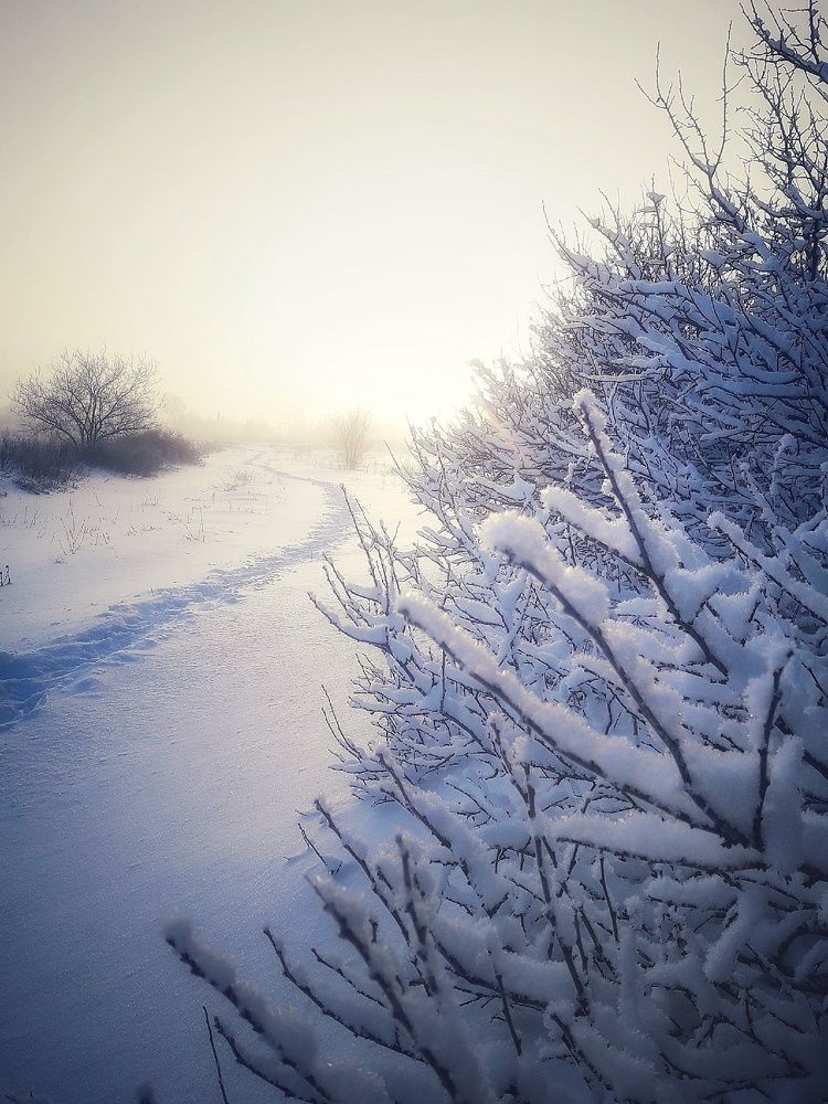 Photograph by Марина Мальцева