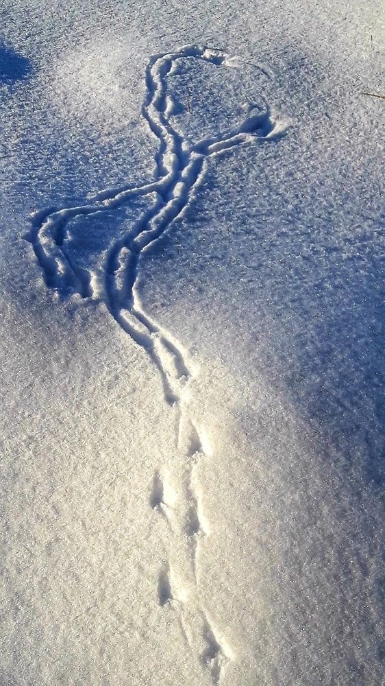 Photograph by Марина Мальцева