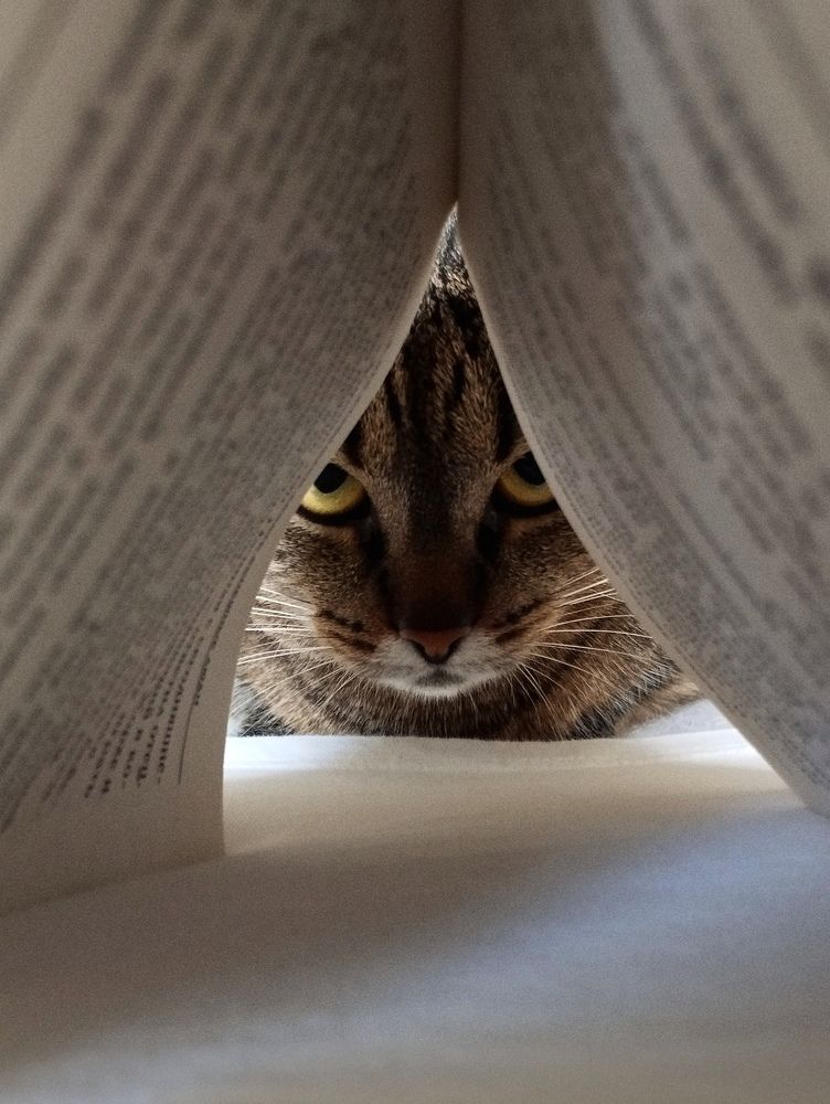 Photograph by Ия Дирко