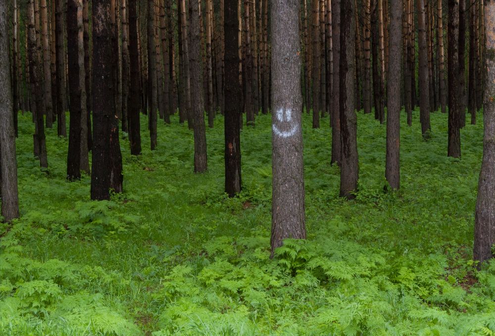 Нонконформист