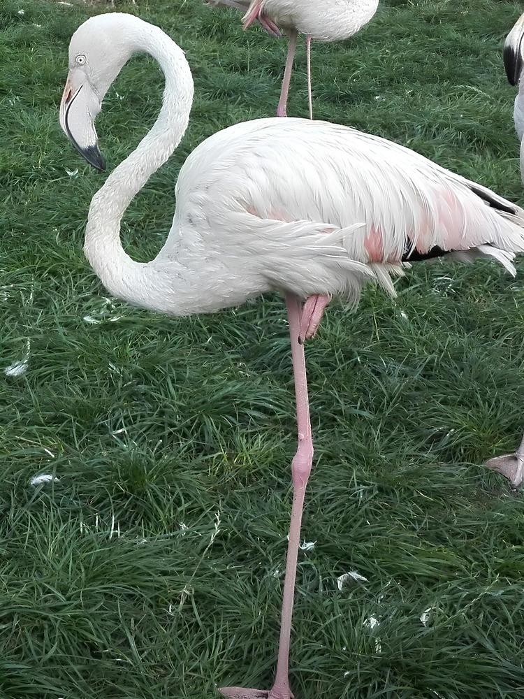 Photograph by Ия Дирко