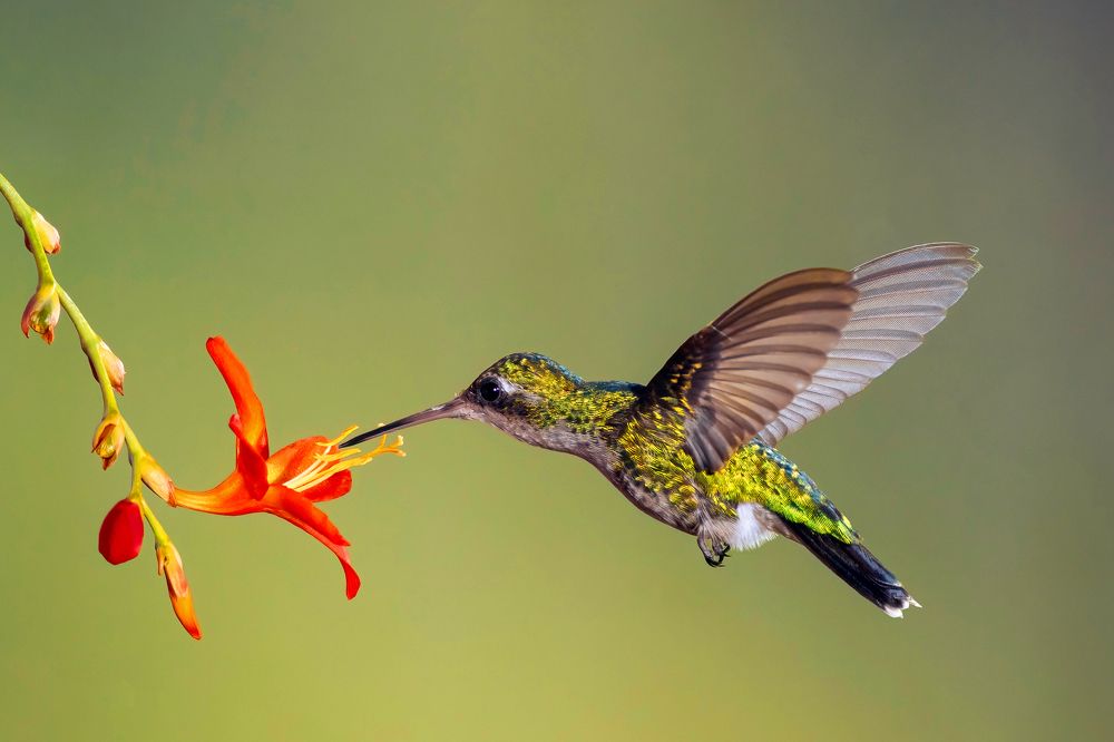 Photograph by Valdir Hobus