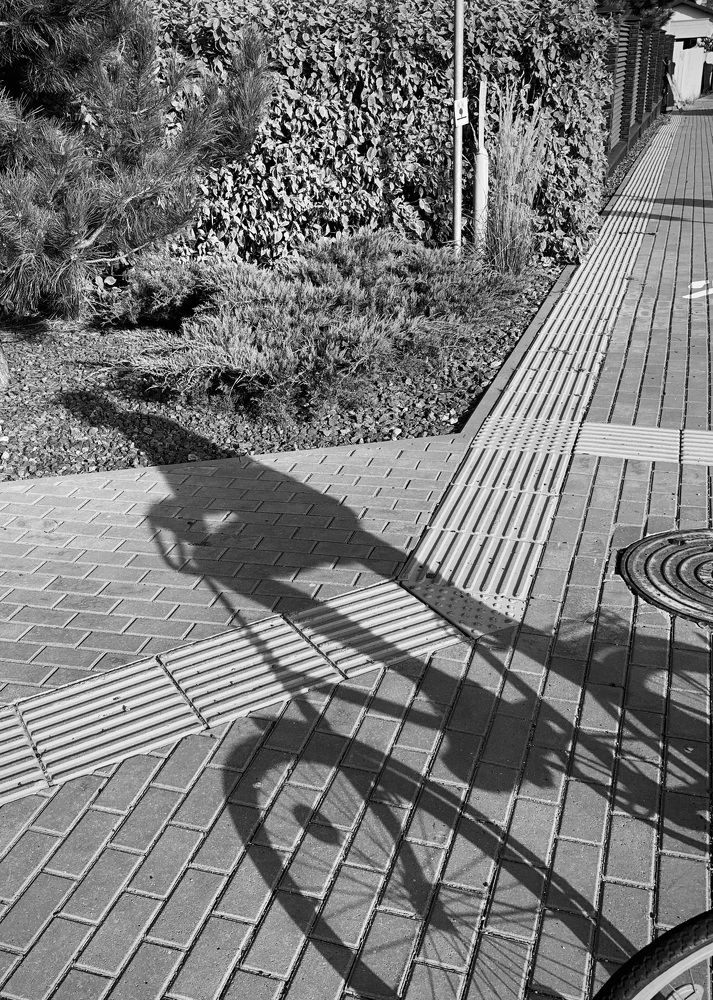 Фотография автора Надежда Смирнова