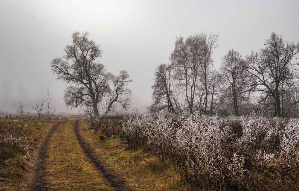 Photograph by Илфир Исламгазин
