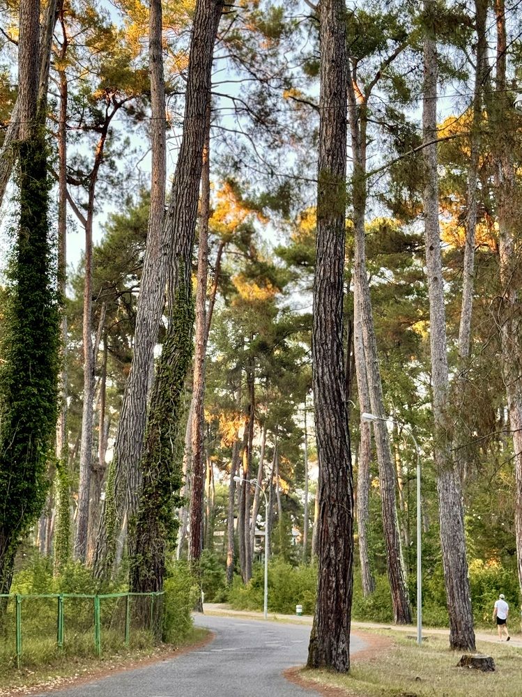 Photograph by Светлана Поляничева