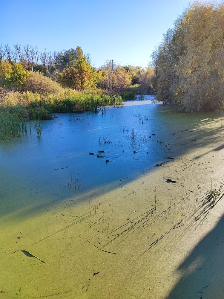 Photograph by Елена Новикова