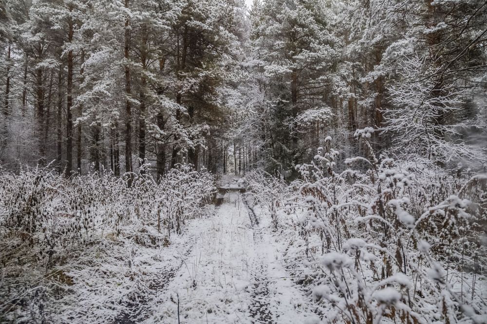 Photograph by Елена Перминова