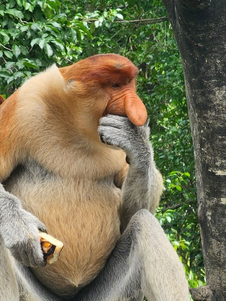 Photograph by Вадим Богатиков