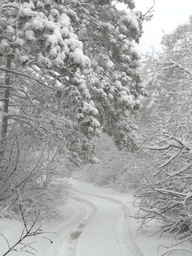 Photograph by Татьяна Стаскевич