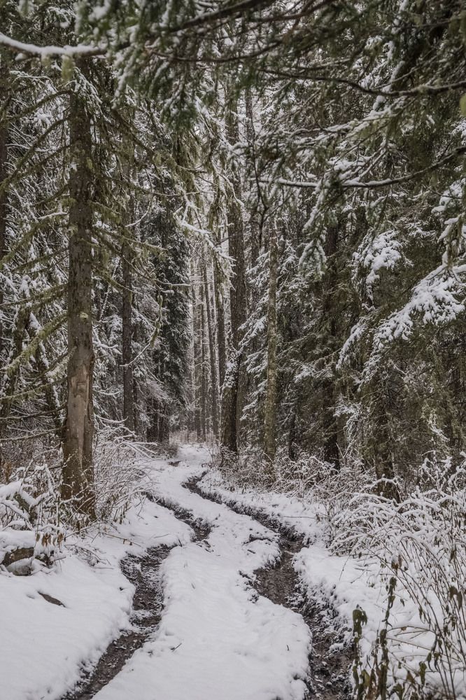 Photograph by Елена Перминова