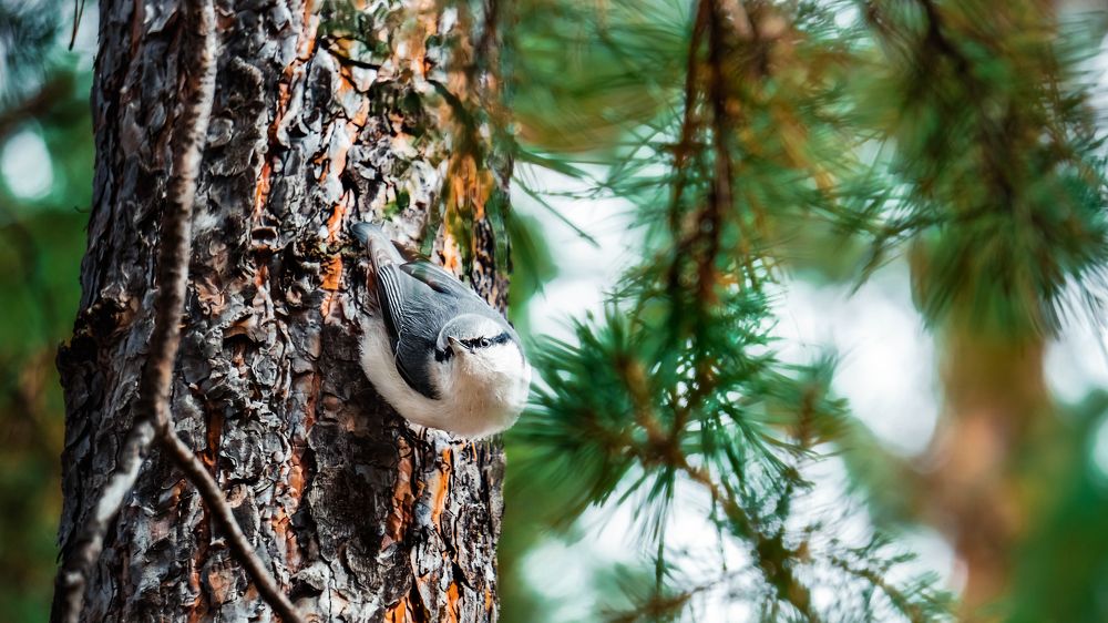 Photograph by Шмаков Денис