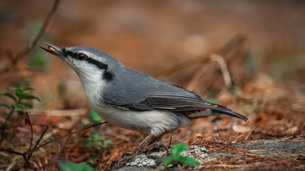 Photograph by Шмаков Денис