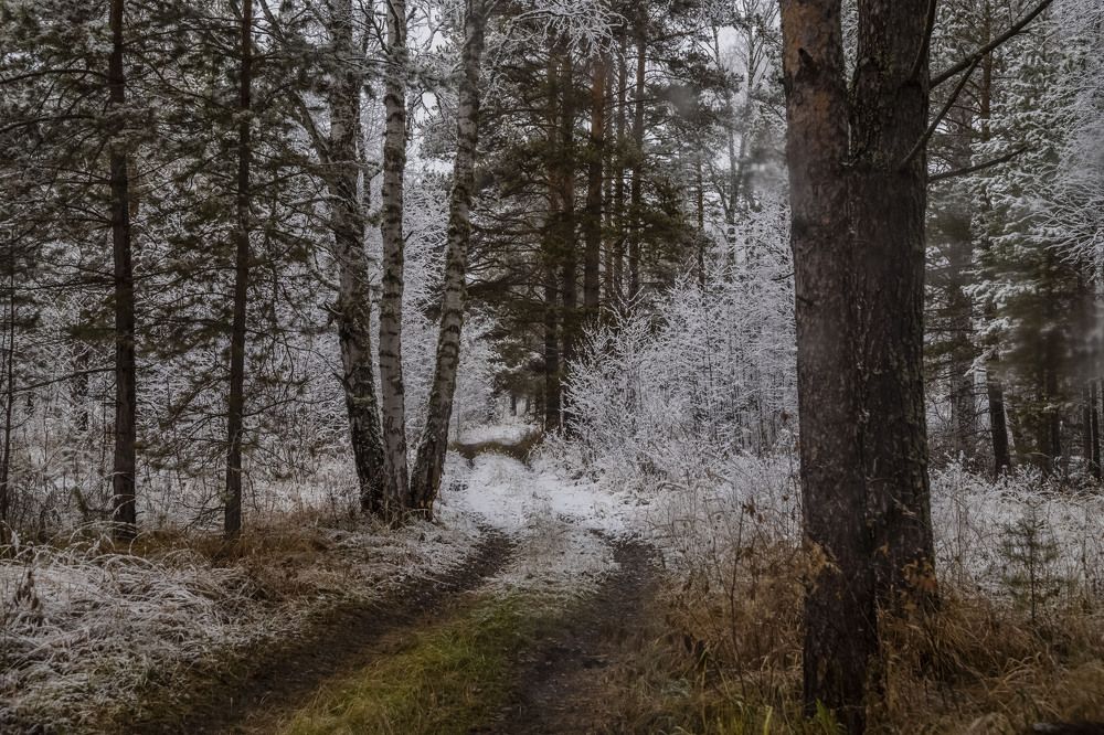 Photograph by Елена Перминова