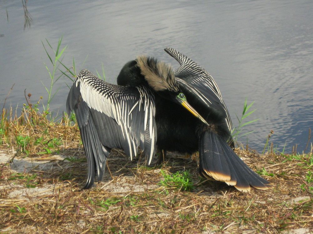 Photograph by Галина