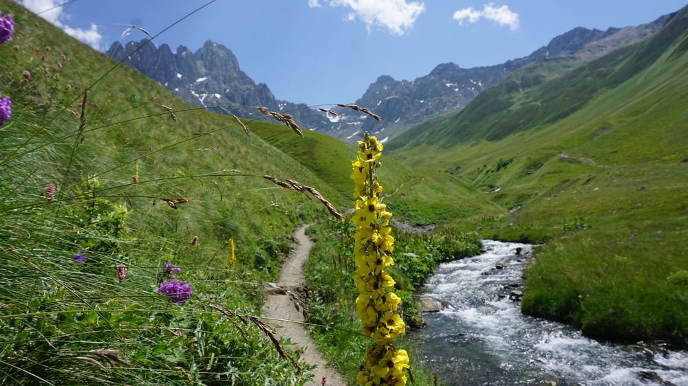 Photograph by Оксана Трофименко