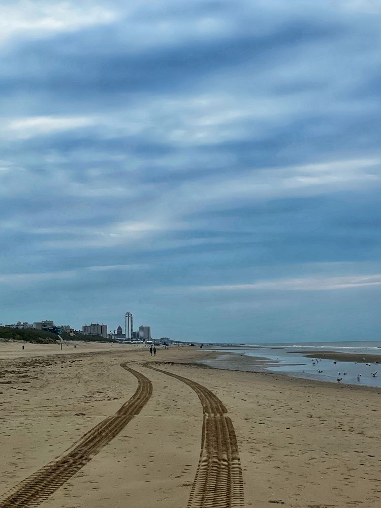 Фотография автора Nadezhda