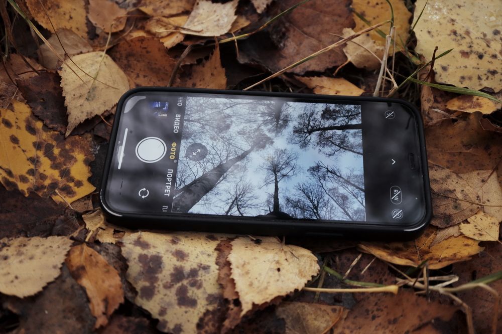 Photograph by Yana Egorova