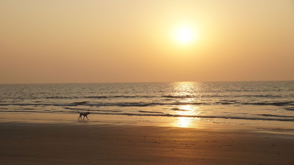 Photograph by Вадим Богатиков