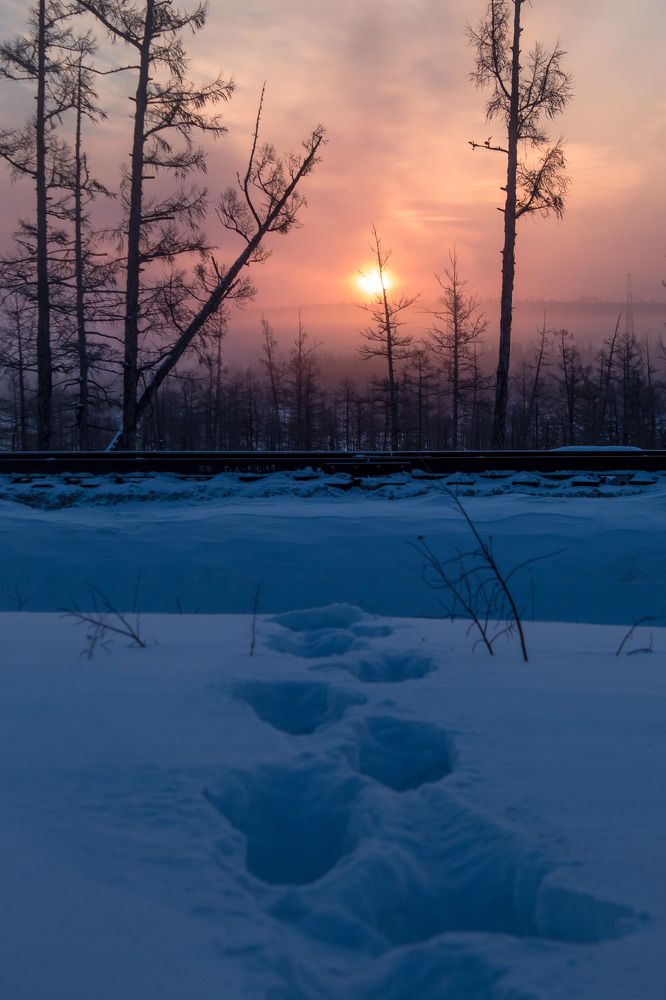 Photograph by 