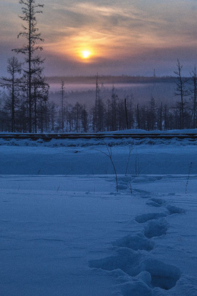 Photograph by 