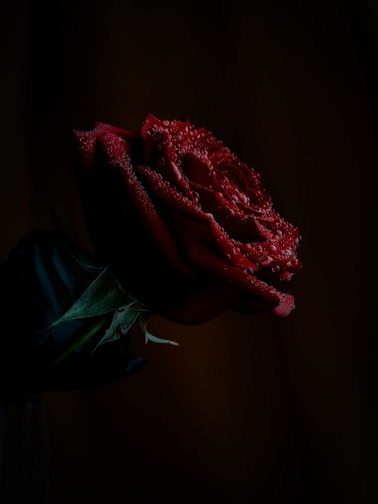 Photograph by Yuliya Karpova