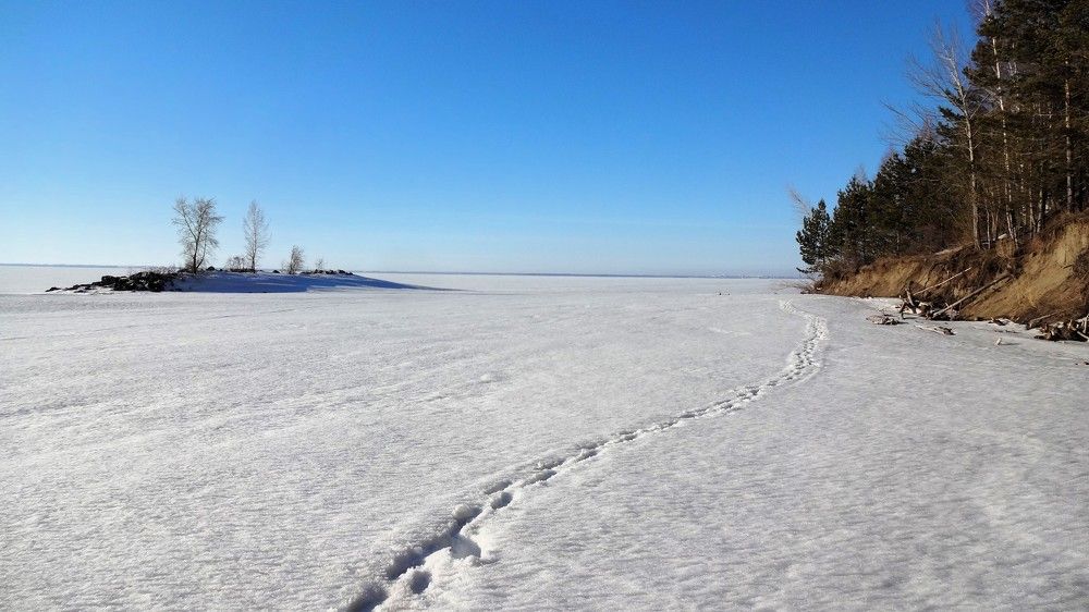 На снегу ранней весной видны следы человека, который куда-то уходит