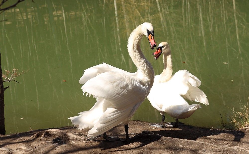 Photograph by Карина Кулиева