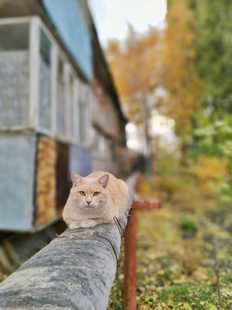 Photograph by Ольга Чернова