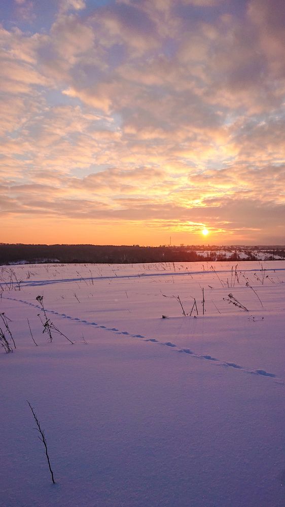 Фотография автора Elena Ku