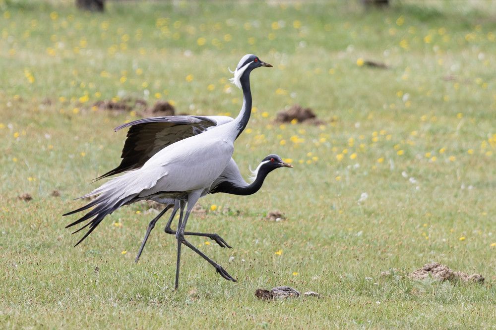 Photograph by Андрей Панов