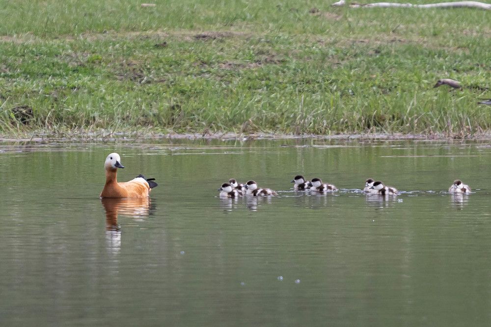 Photograph by Андрей Панов