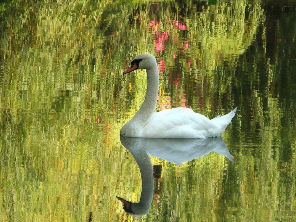 Фотография автора Галина Аверьянова