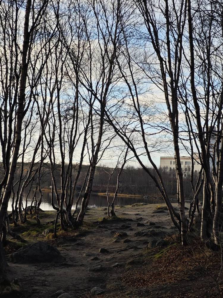 Photograph by Елена Терехина