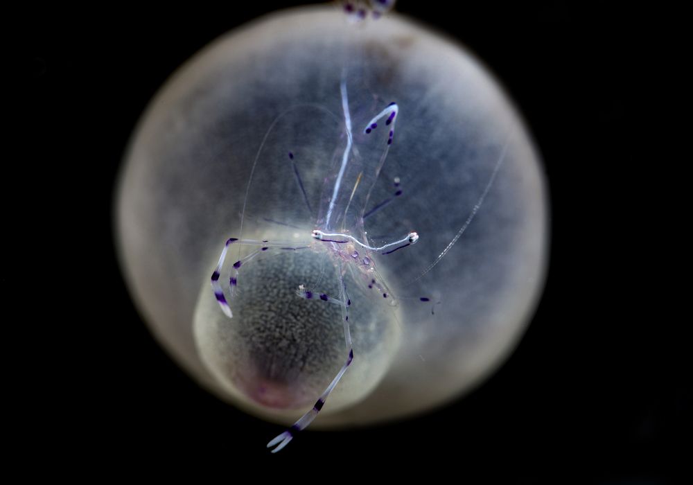 Photograph by Юрий Перевозников