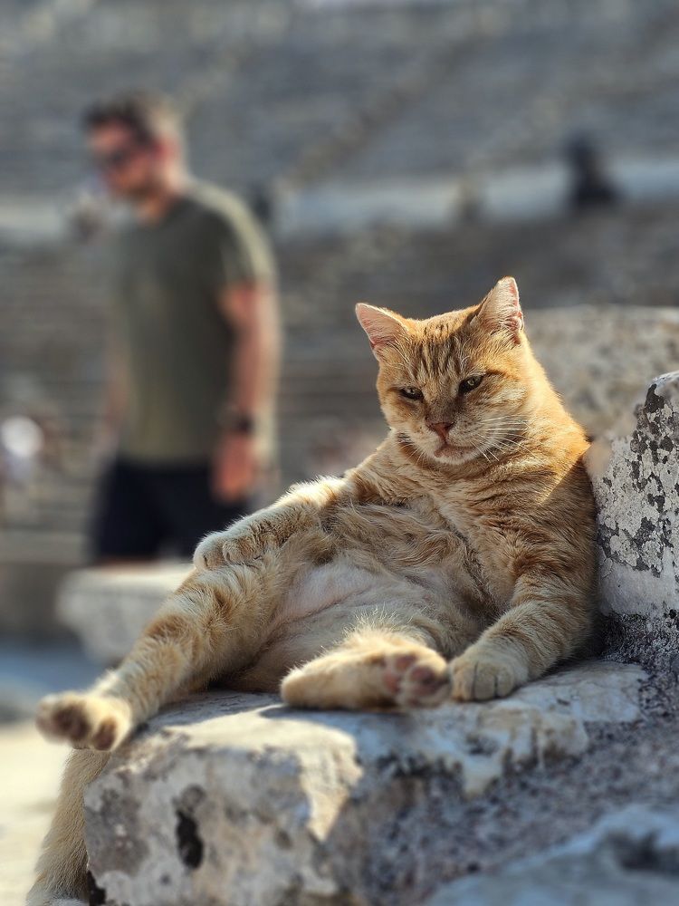 Фотография автора Наталья Законова