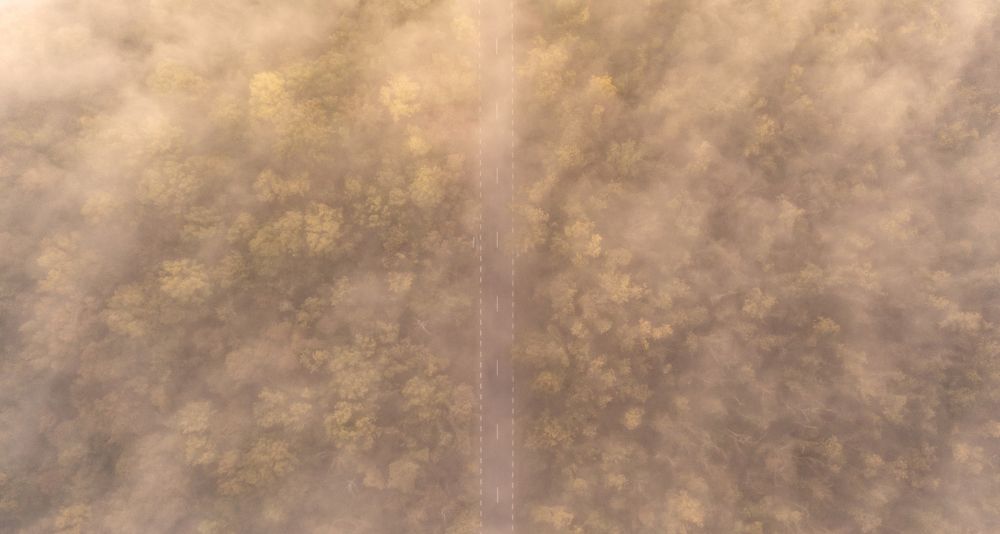 Photograph by Alexandru George