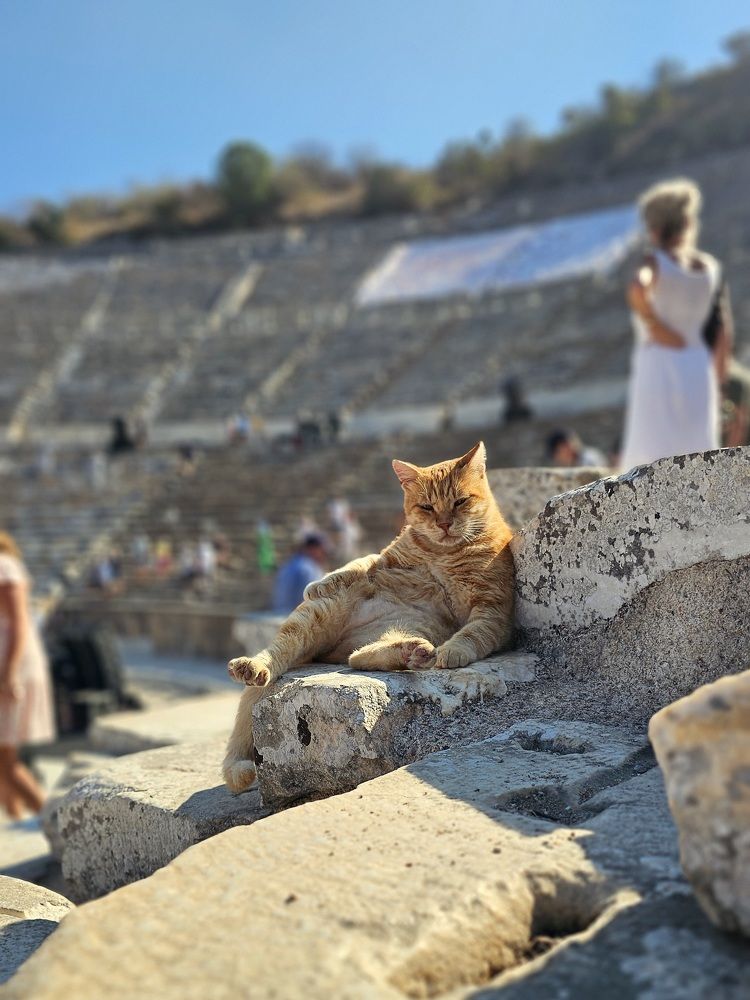 Фотография автора Наталья Законова